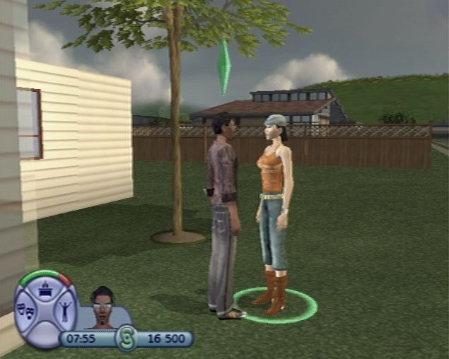 Sims 2 Glitches