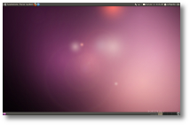 คู่มือการปรับแต่งหน้าจอ Ubuntu 10.04
