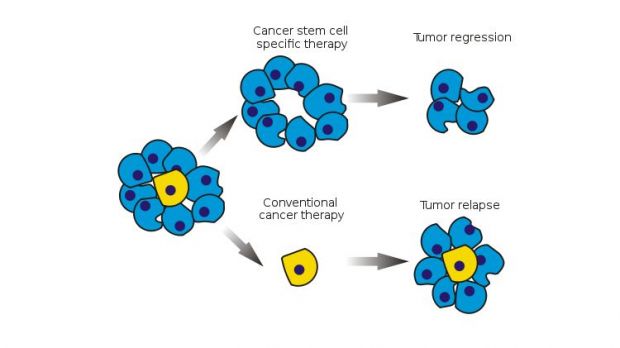 Antipsychotics Damage Cancer Stem Cells