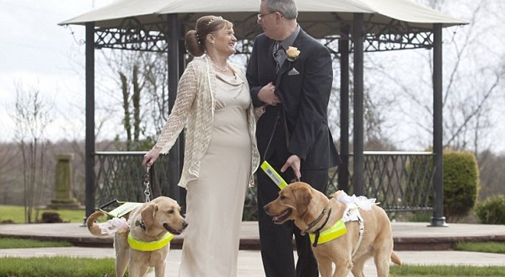 Blind Couple Marry After Their Guide Dogs Bring Them ...