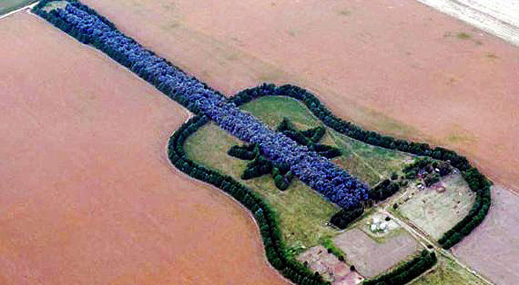 Guitar-Shaped-Forest-Is-Meant-to-Be-a-Tribute-to-a-Man-s-Late-Wife.jpg