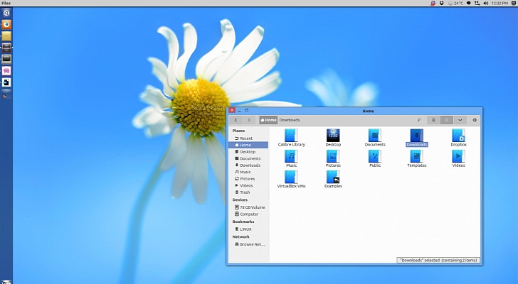 Windows 8 Theme working in Ubuntu 13.04