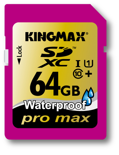 Kingmax Logo