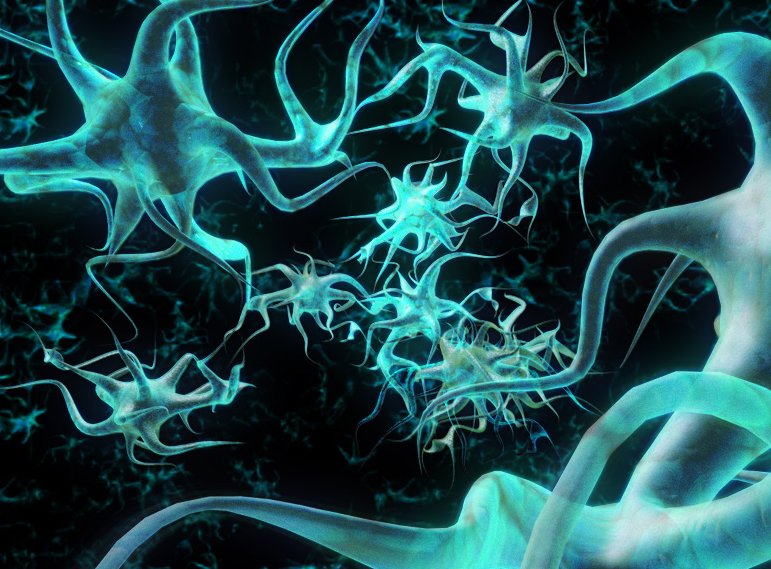 Why Is Nerve Regeneration Possible In The Peripheral Nervous System