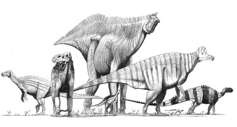 Species Of Dinosaurs