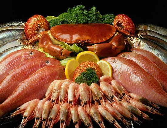 Image result for `fish and seafood