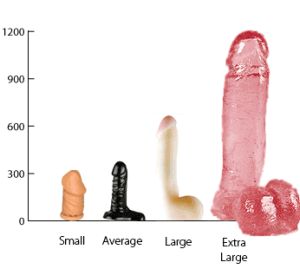 Does Size Of Penis Matter 32