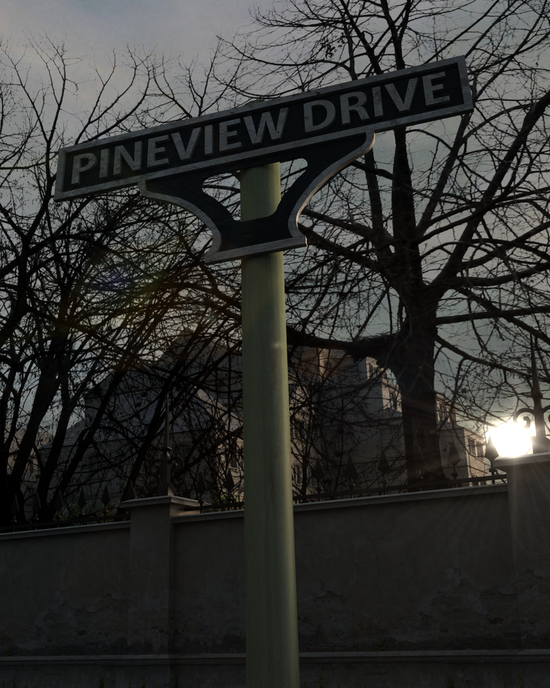Pineview drive homeless review