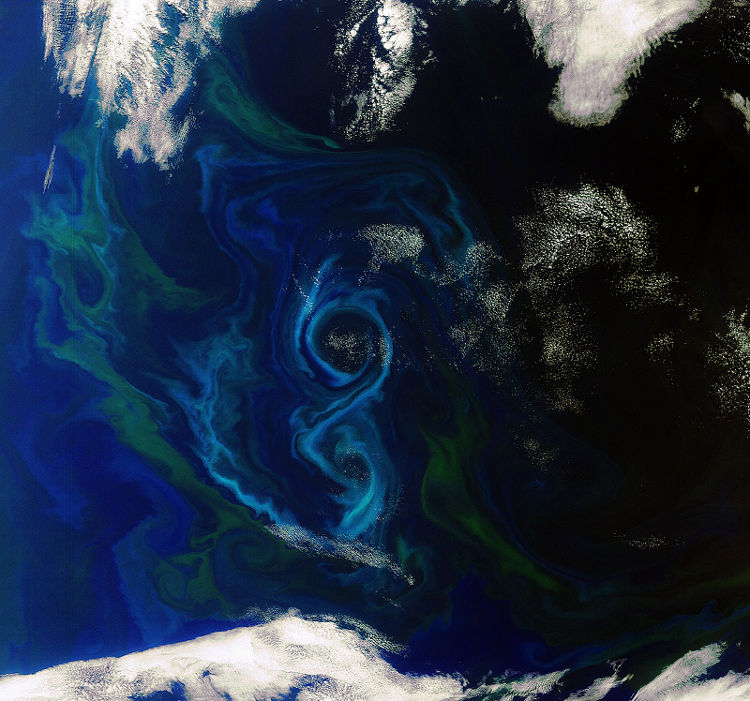 This is an amazing view of a large phytoplankton bloom currently taking place in the South Atlantic Ocean