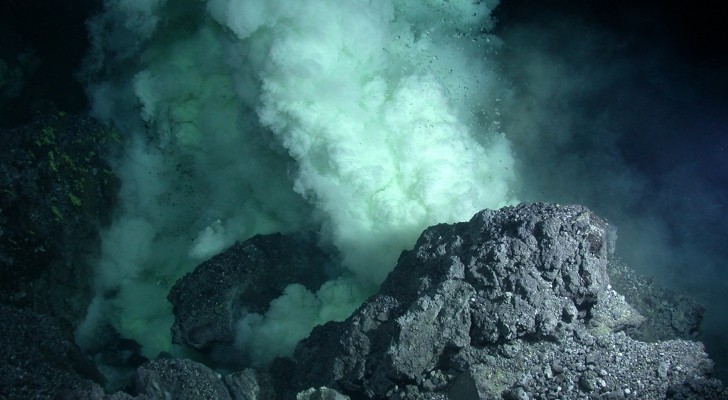 Hydrothermal vent#Black smokers and white smokers #