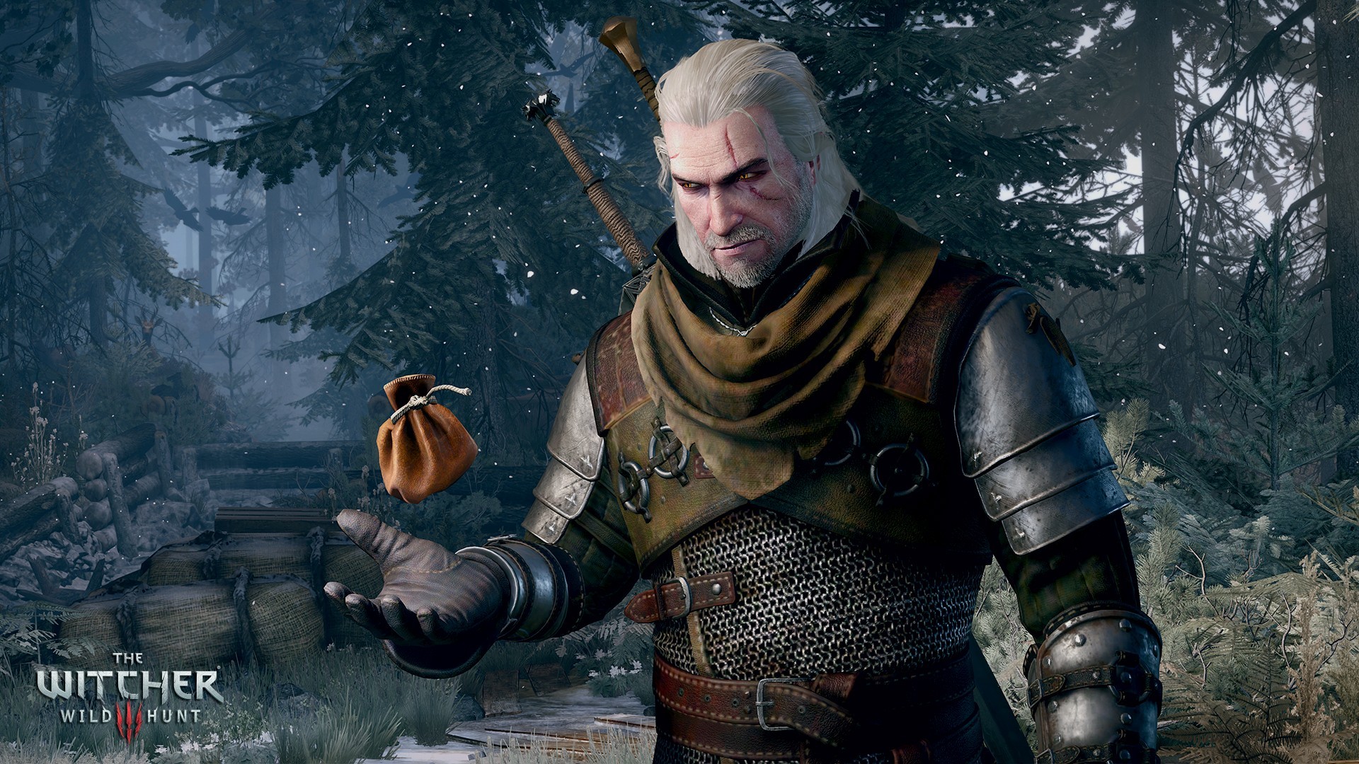 The-Witcher-3-Wild-Hunt-Gets-Stunning-New-Screenshots-Showing-Geralt-Enemies-and-More-471130-2.jpg