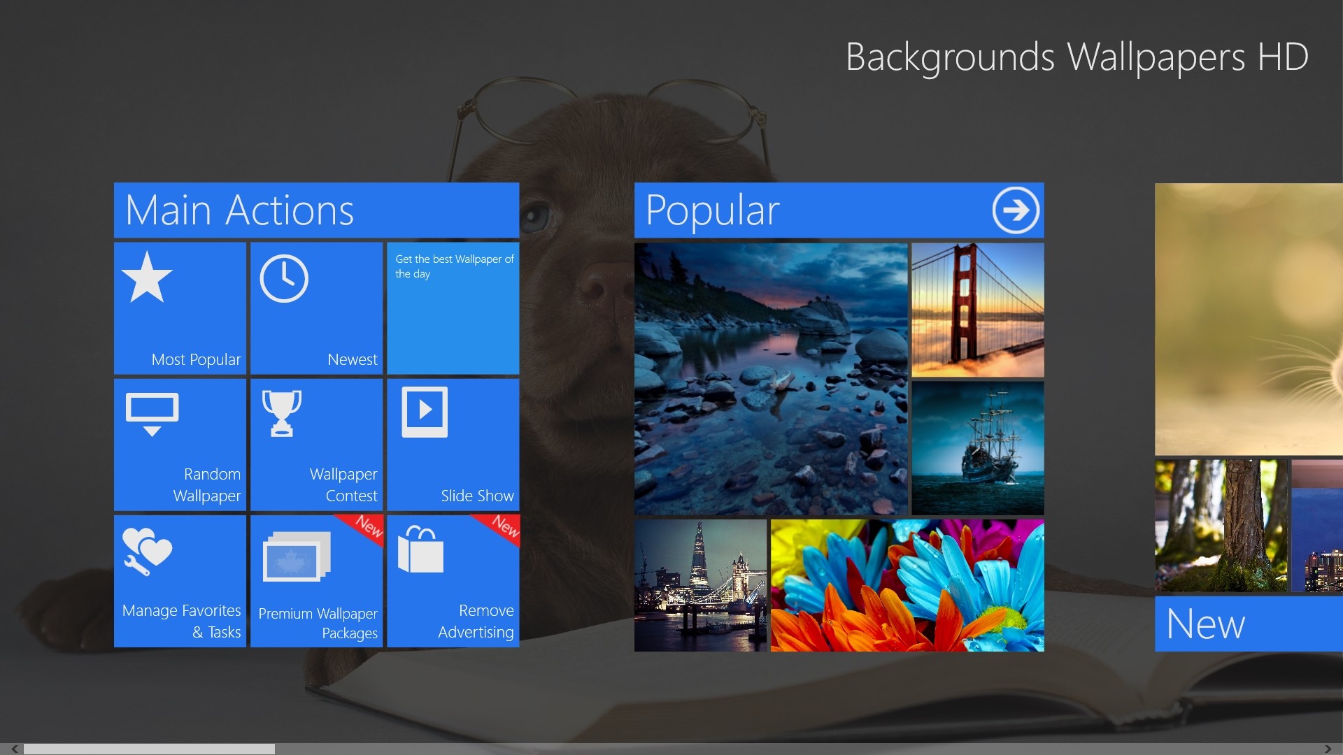 Windows 8 App Of The Day Backgrounds Wallpapers HD