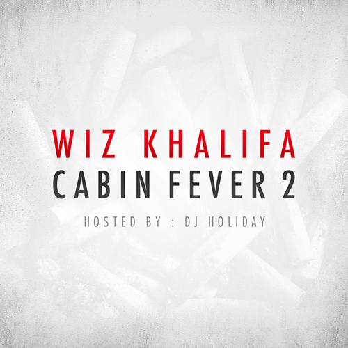 wiz cabin fever 2