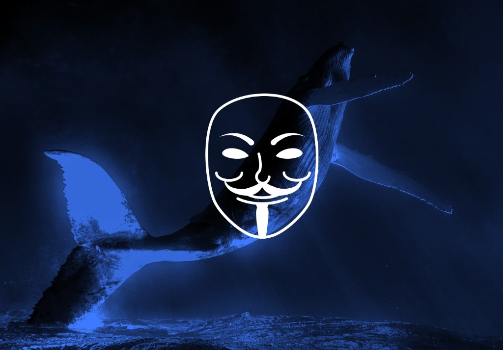 anonymous-takes-down-five-government-web