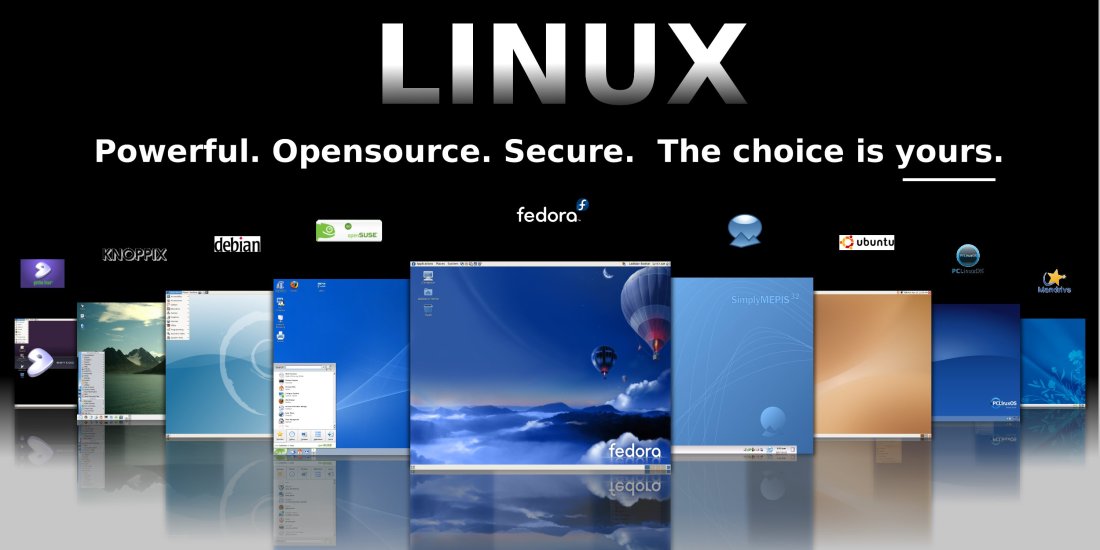 FREE BSD Linux Operaing System Versions