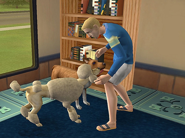 Cheats Ps2 Sims 2 Pets Money